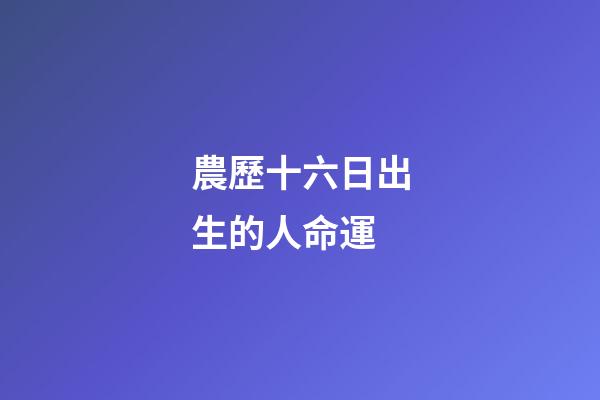 農歷十六日出生的人命運 (農歷十六出生的人性格和命運)-第1張-觀點-玄機派